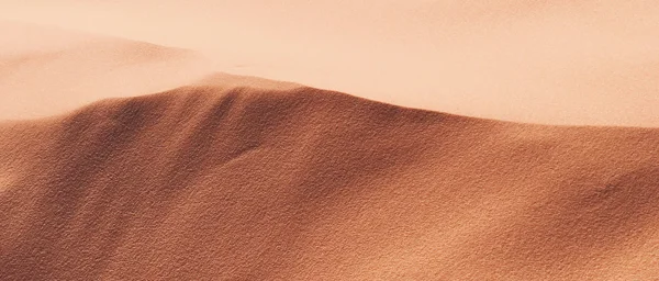 Adobestock 1489586868