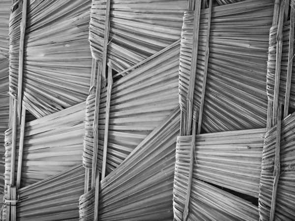 Adobestock 175222288