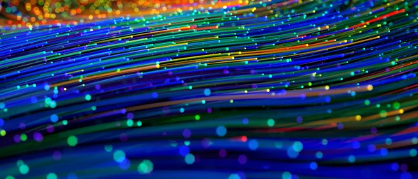 Information Technology | Legal Services